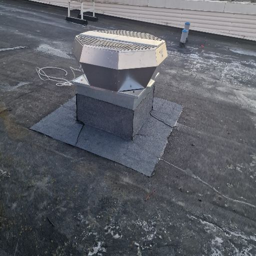 WhatsApp Bild 2025-07-20 kl. 00.04