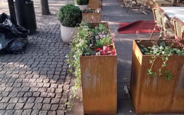 WhatsApp Bild 2025-08-21 kl. 02.56